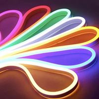 Neon Hortum Led IP 65220 Volt–120 Led-6 W/m Amber 1